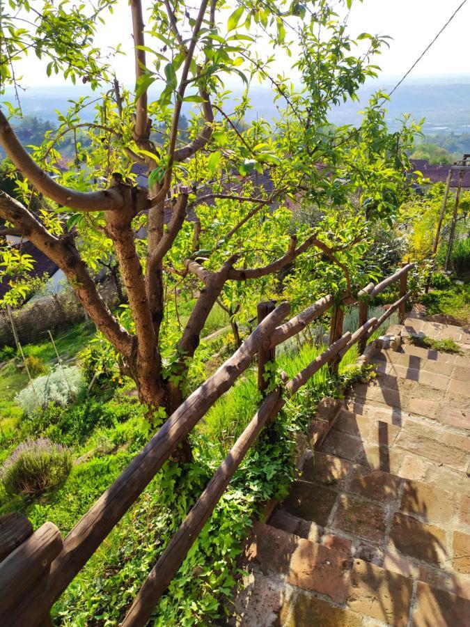 Casa Mantel Holiday Home Panoramic View In Langhe Novello Exterior foto